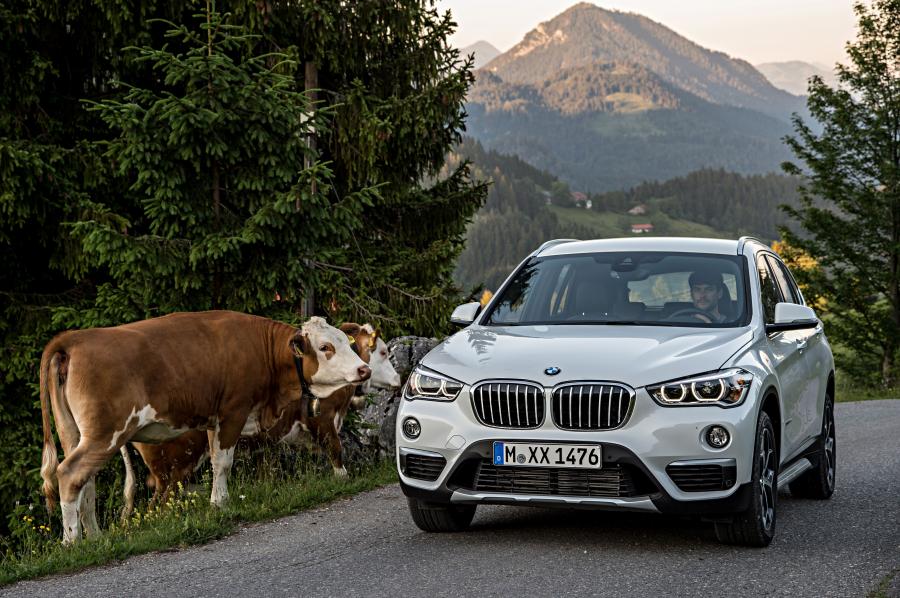  BMW X1 xDrive2.5d xLine 2015 года  (фото 22 из 30)